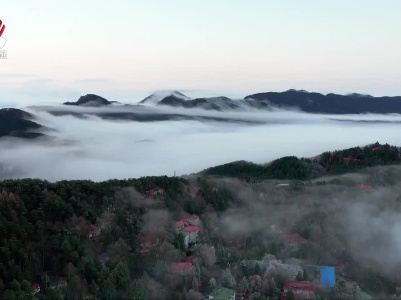 庐山出现入冬首场雾松景观