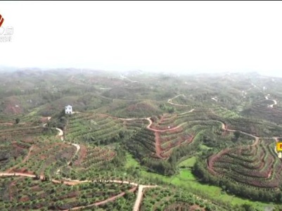 新闻晚高峰20231206