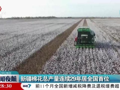 新疆棉花总产量连续29年居全国首位