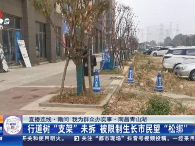 都市现场·午间版20231205