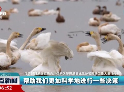 密织候鸟监测网 保护鄱阳湖“远方来客”