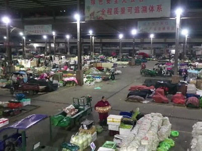 江西乐平：日均供应750吨 寒潮天气菜价稳定