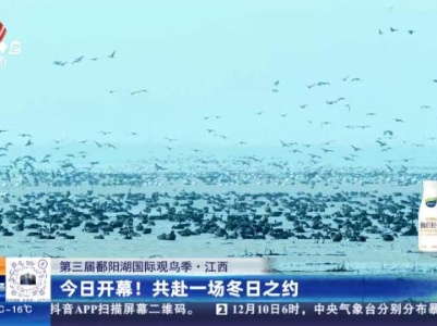 【第三届鄱阳湖国际观鸟季】江西：今日开幕！共赴一场冬日之约