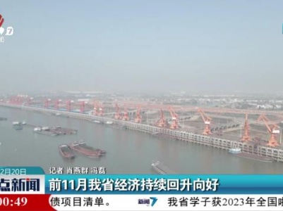前11月我省经济持续回升向好