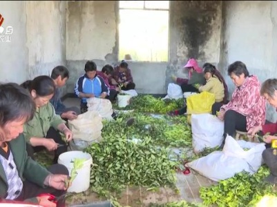 新闻晚高峰20231220