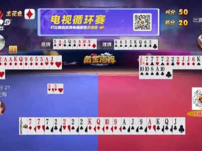 谁是赢家20231203