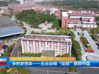 乡村梦想家——五谷杂粮“绘就”美丽中国