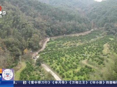 【赣闻天下】抚州广昌：生态脐橙喜迎丰收 远销北方市场
