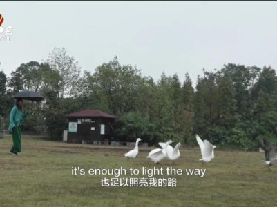 新闻晚高峰20231215