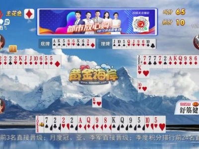 谁是赢家20231229