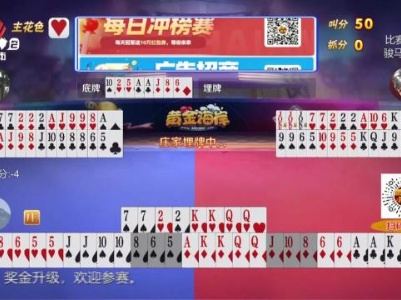 谁是赢家20231202