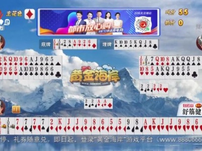 谁是赢家20231224