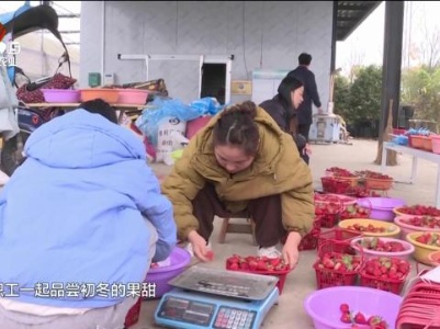 【乡村行 看振兴】靖安：冬天的第一波草莓上市