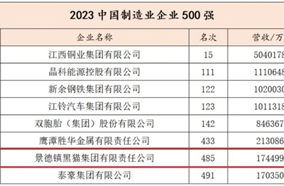 “2023江西企业100强”榜单出炉 景德镇黑猫集团荣列第23位
