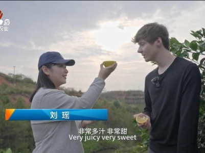 赣出精彩20231222