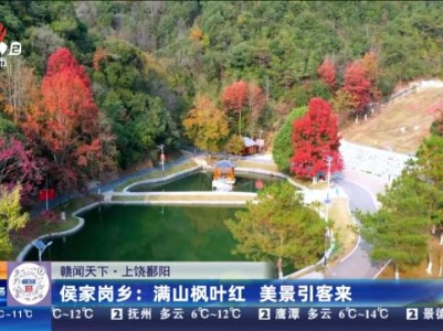 【上饶鄱阳】侯家岗乡：满山枫叶红 美景引客来