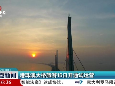 港珠澳大桥旅游15日开通试运营