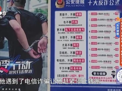 地宝当家20231201