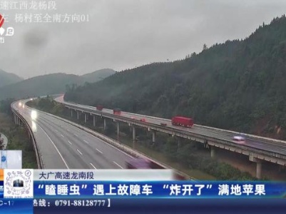 大广高速龙南段：“瞌睡虫”遇上故障车“炸开了” 满地苹果