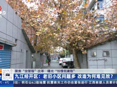 都市现场20231222