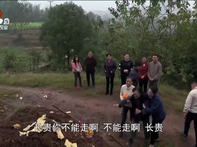 乡村栏目剧场20231215 迷秋