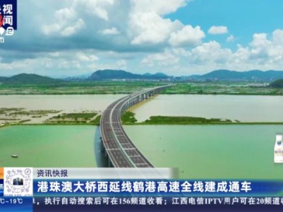 港珠澳大桥西延线鹤港高速全线建成通车