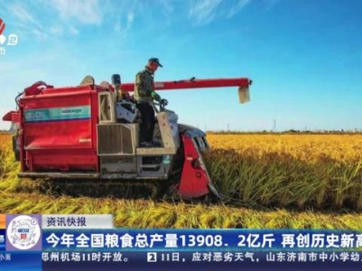 今年全国粮食总产量13908.2亿斤 再创历史新高