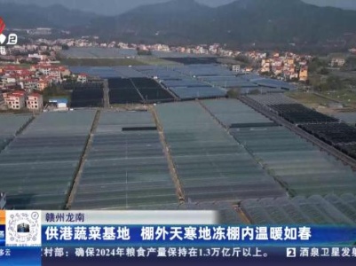 赣州龙南：供港蔬菜基地 棚外天寒地冻棚内温暖如春