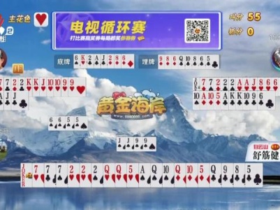谁是赢家20231227