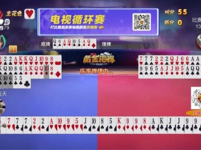 谁是赢家20231215