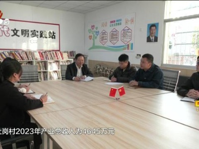 【乡村“店小二”】社岗村的“幸福账”