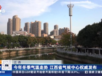都市现场20231205