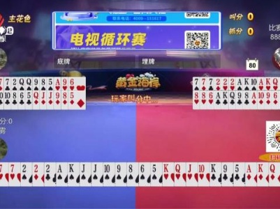 谁是赢家20231201