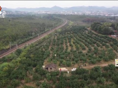 新闻晚高峰20231221