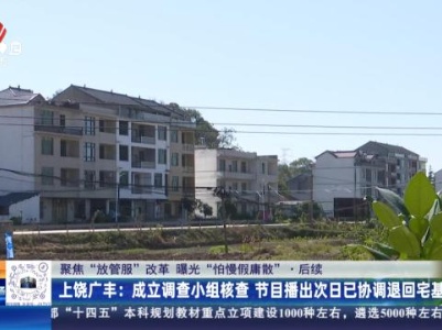 都市现场20231208