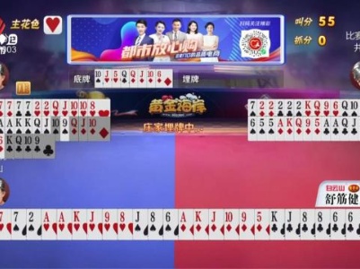 谁是赢家20231208