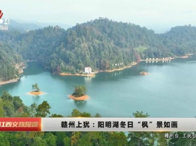 赣州上犹：阳明湖冬日“枫”景如画