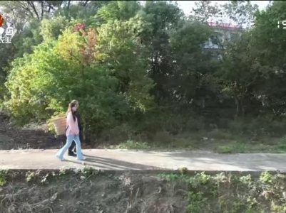 赣出精彩20231229