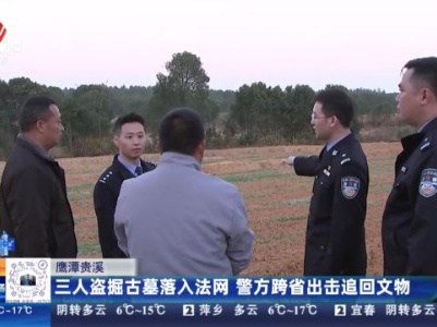鹰潭贵溪：三人盗掘古墓落入法网 警方跨省出击追回文物
