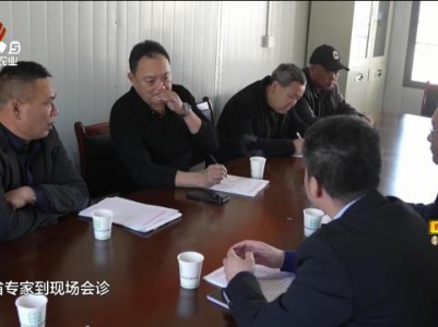 新闻晚高峰20231217