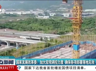 国家发展改革委：加大宏观调控力度 确保各项部署落地见效