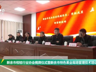 三农头条20231219