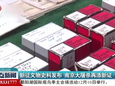 新征文物史料发布 南京大屠杀再添新证