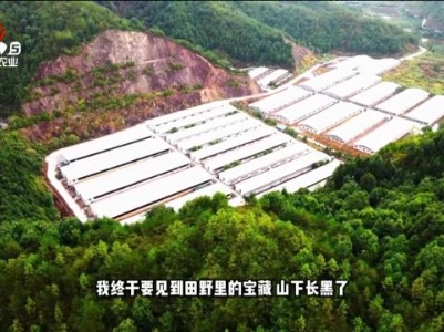 三农头条20231230