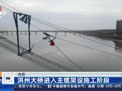 南昌：洪州大桥进入主缆架设施工阶段