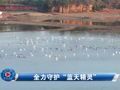 社会传真20231214 全力守护“蓝天精灵”