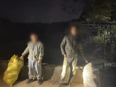 上饶俩男子深夜偷马家柚 被民警逮个正着