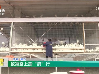 农事帮帮帮20231222