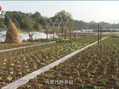 三农头条20231227