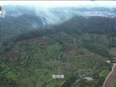 乡村梦想家——“小橘灯”寻梦之旅